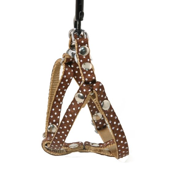 Harnais galon motif pois sur sangle nylon: Tour de cou 17-27 cm marron