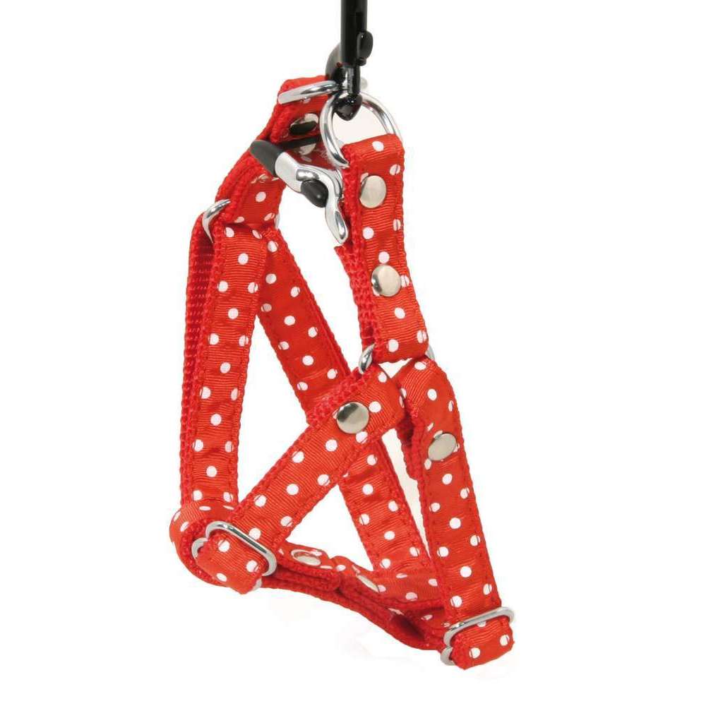 Harnais galon motif pois sur sangle nylon : Tour de cou 23-33 cm rouge