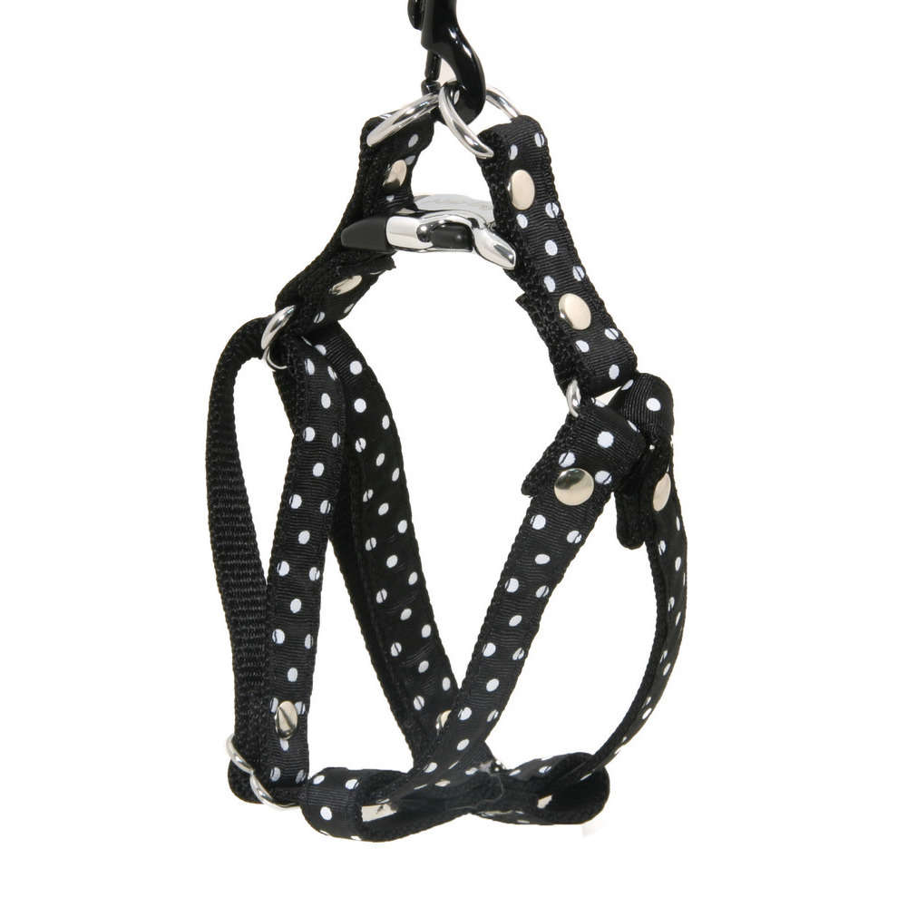 Harnais galon motif pois sur sangle nylon : Tour de cou 23-33 cm noir