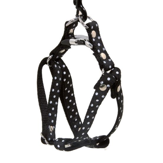 Harnais galon motif pois sur sangle nylon : Tour de cou 23-33 cm noir