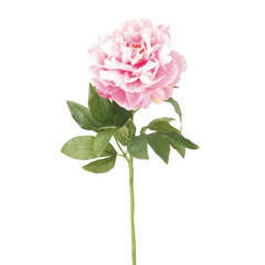 Tige Pivoine artificiell, rose H. 65 cm