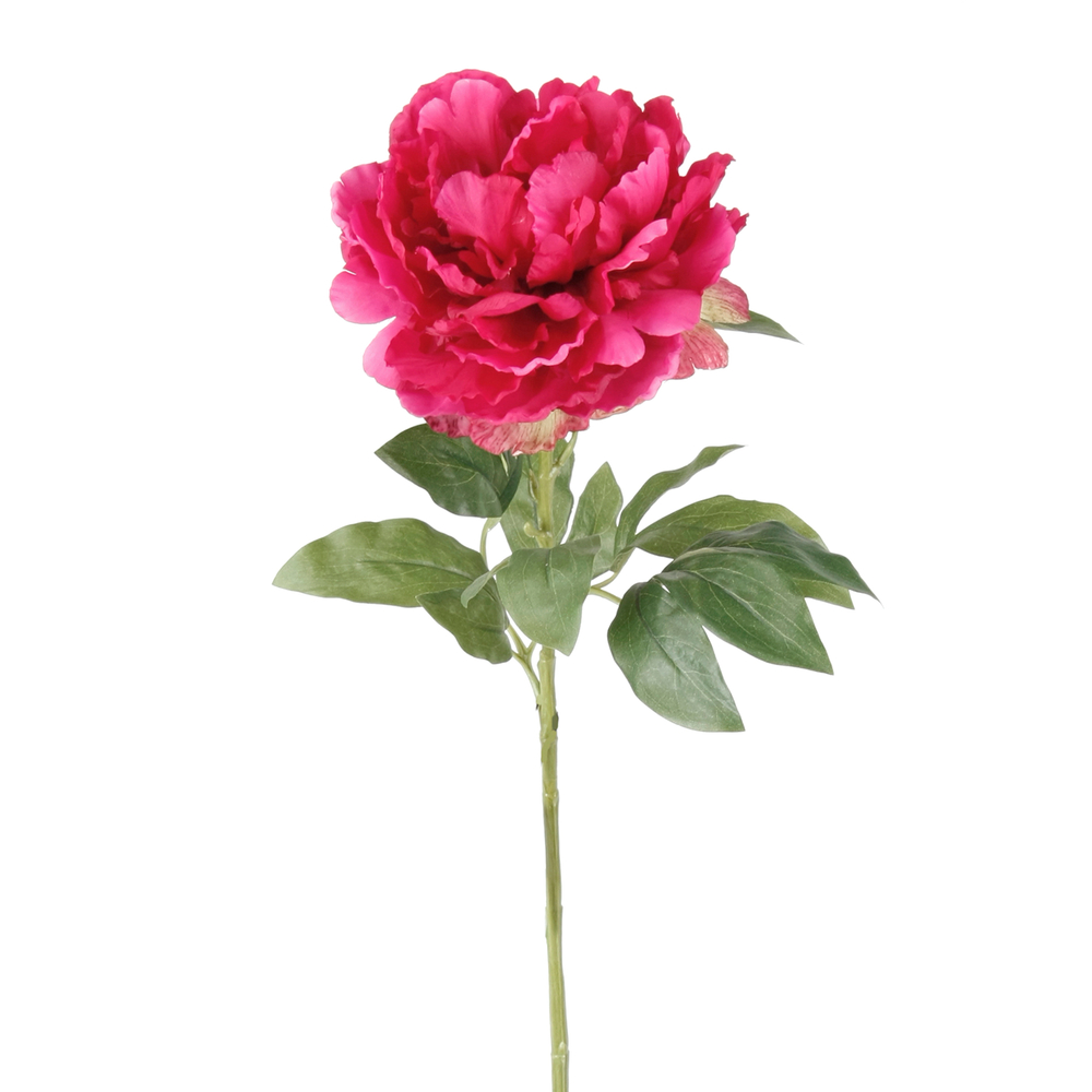 Tige Pivoine artificiell, fuchsia H. 65 cm