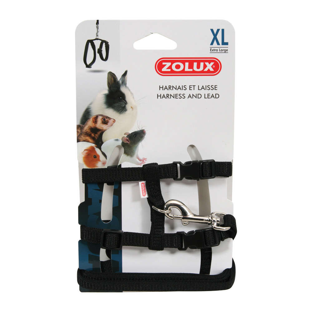 Harnais et Laisse Nacs Xl : Tour de cou 19-31 cm Noir