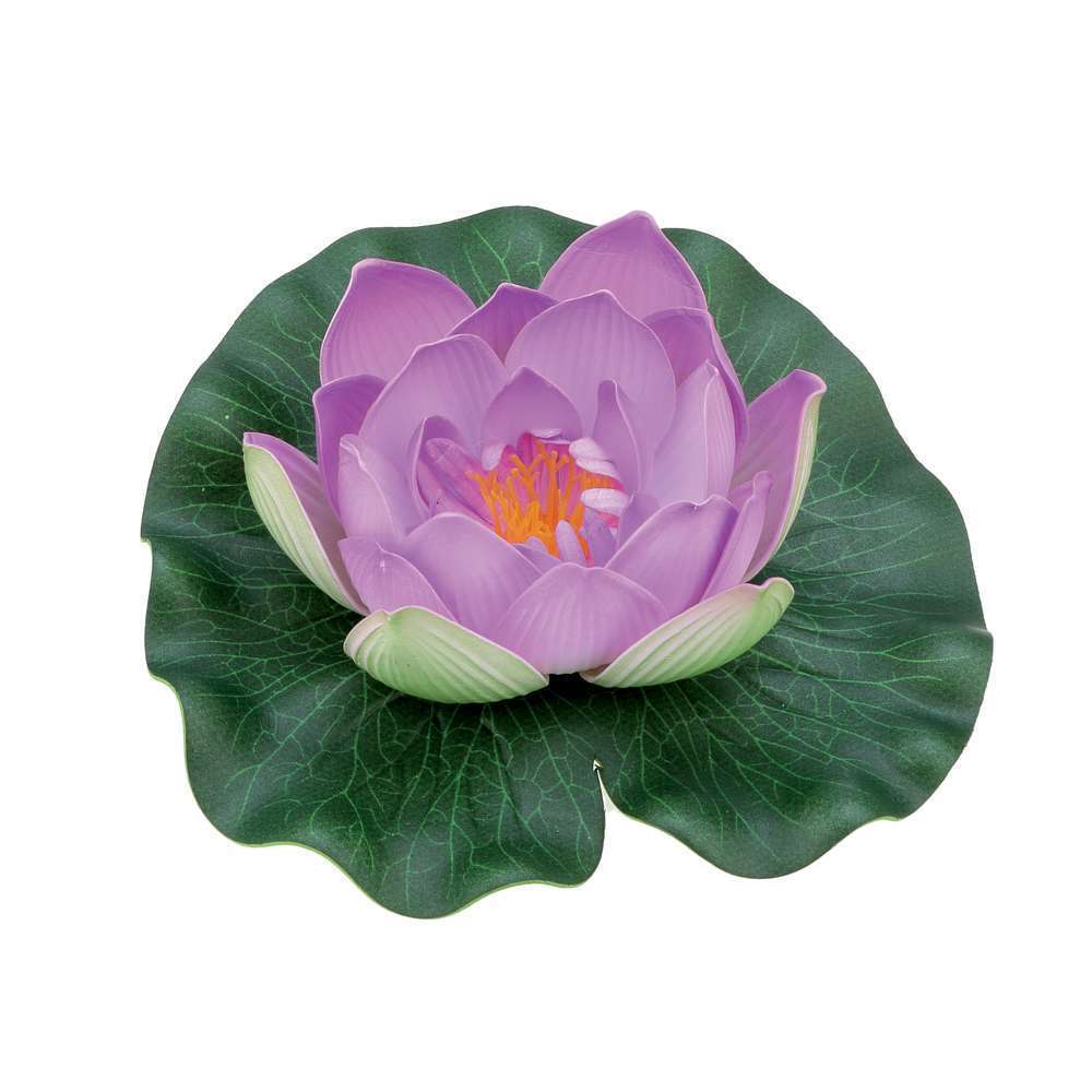 DÃ©coration bassin : nÃ©nuphar violet
