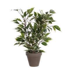 Plante artificielle : Pot Ficus Natasja blanc D.11 x H.40 cm