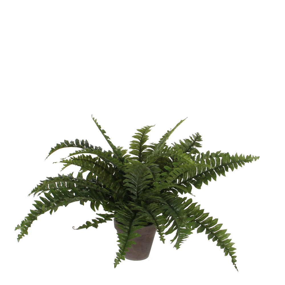 Plante artificielle : Pot Fougère D.13,5 x H.42 cm