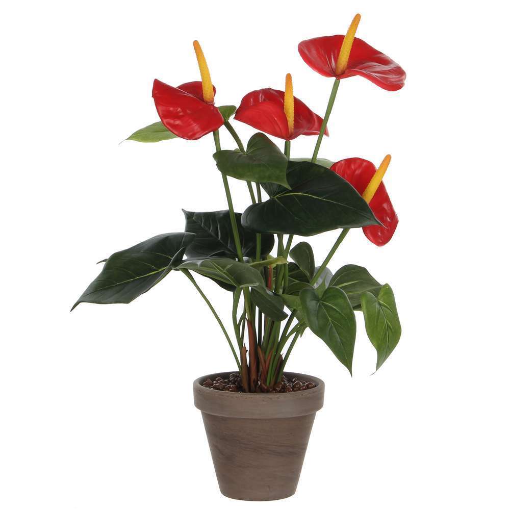 Plante artificielle : Pot Anthurium rouge D.11,5 x H.40 cm