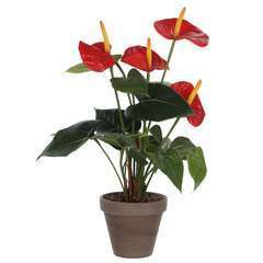 Plante artificielle : Pot Anthurium rouge D.11,5 x H.40 cm Mica | Truffaut
