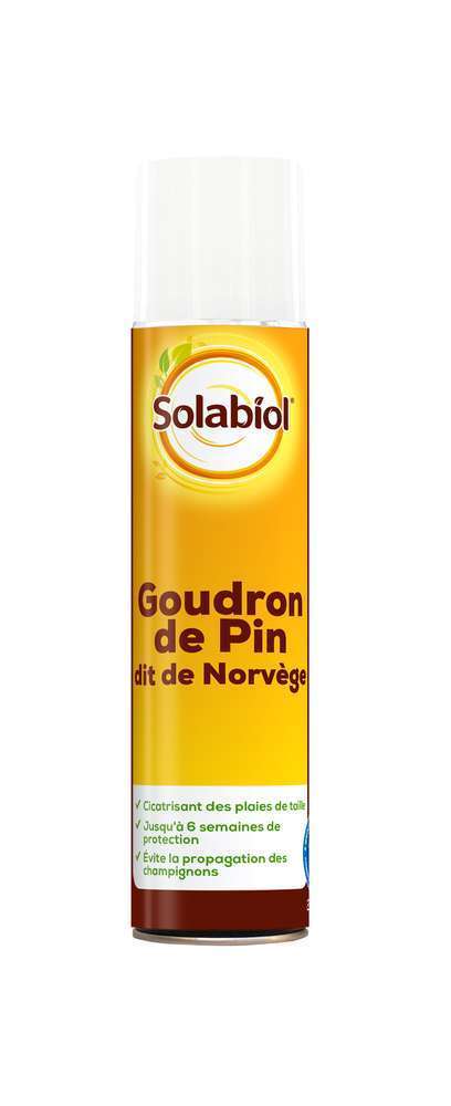Goudron de Pin : aÃ©rosol 200ml
