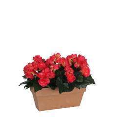Plante artificielle : Jardinière Begonia rose 25x13x13 cm