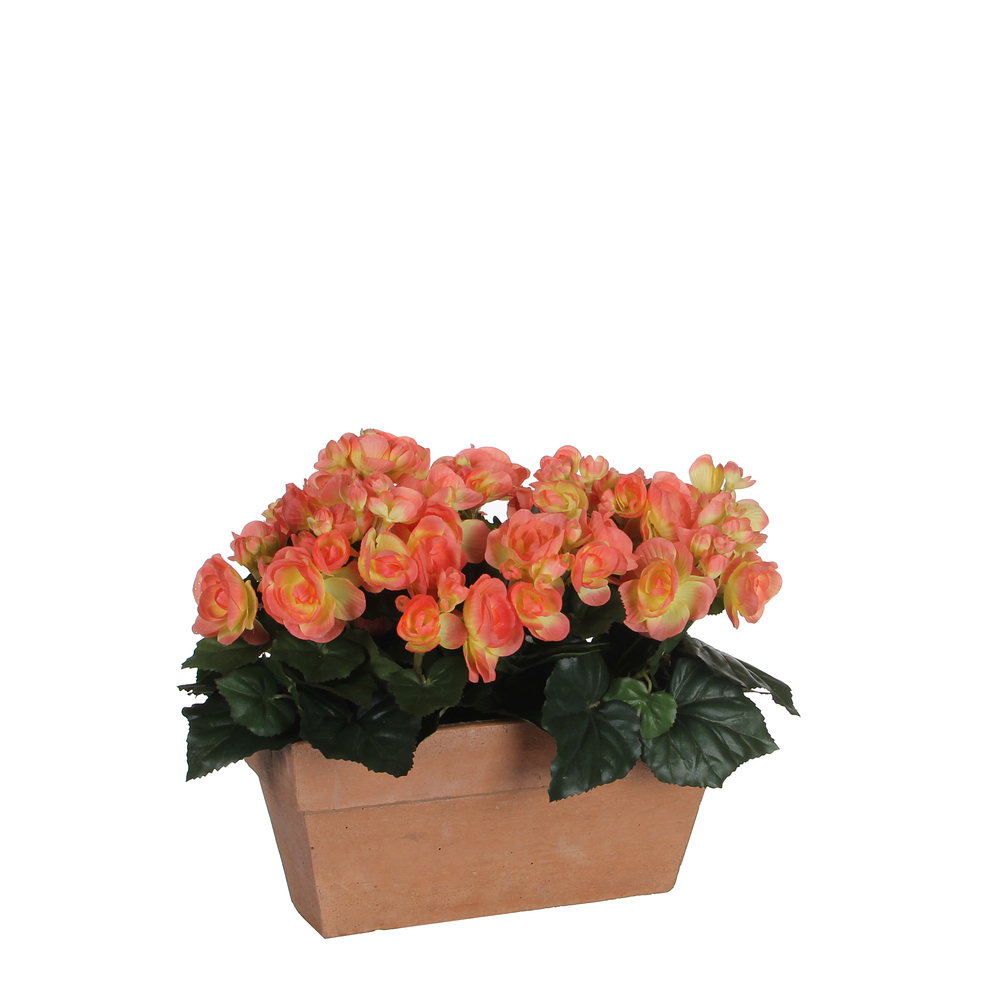Plante artificielle : Jardinière Begonia pêche 25x13xH.13 cm