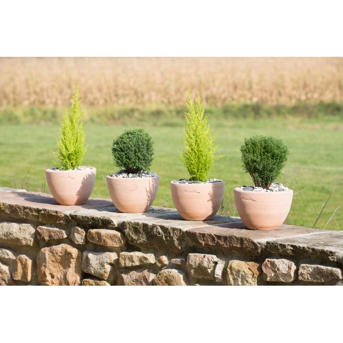 Goicoechea Cuvier Haut Contemporain En Terre Cuite – Hauteur 51 Cm – Élégant Pot Rosé Naturel Pour Plantes D'Extérieur