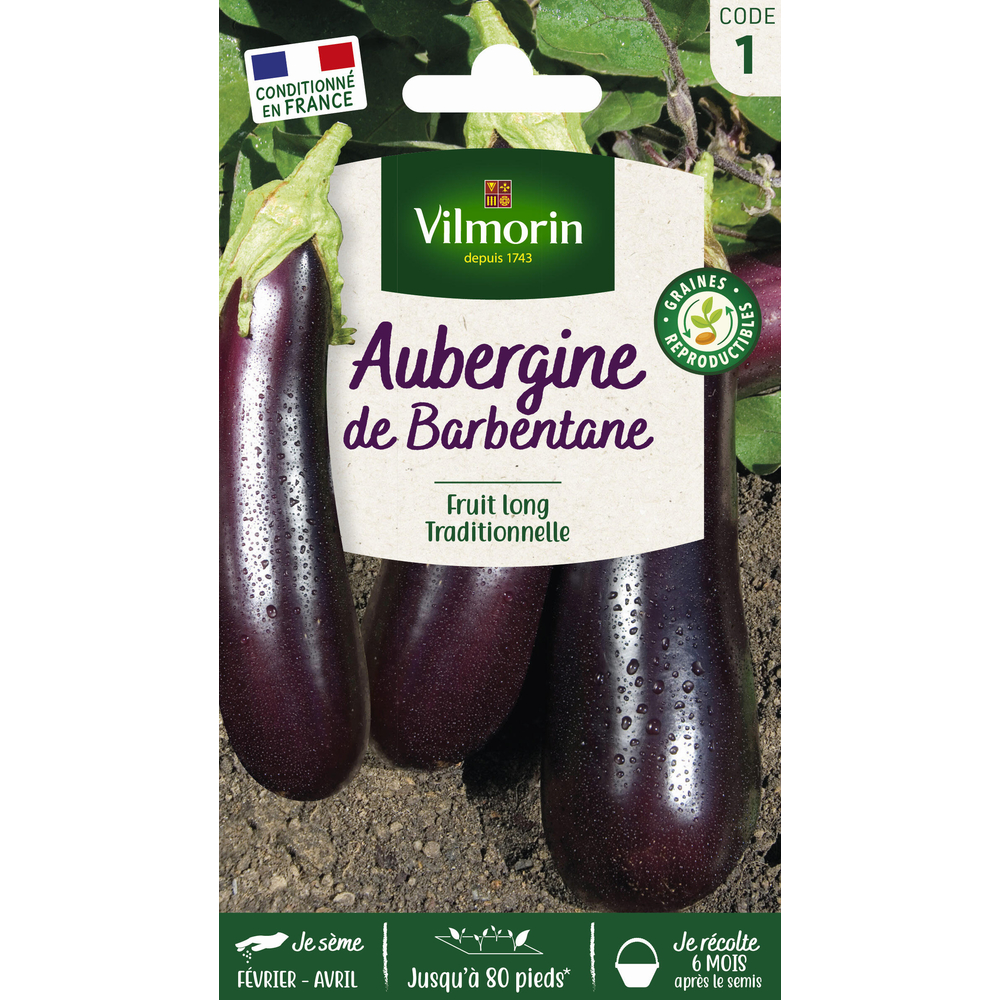 Aubergine de Barbentane