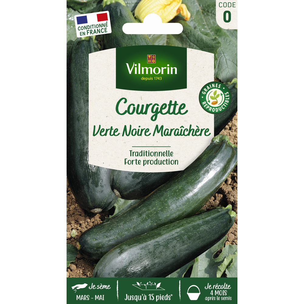 Courgette verte noire Maraîchère
