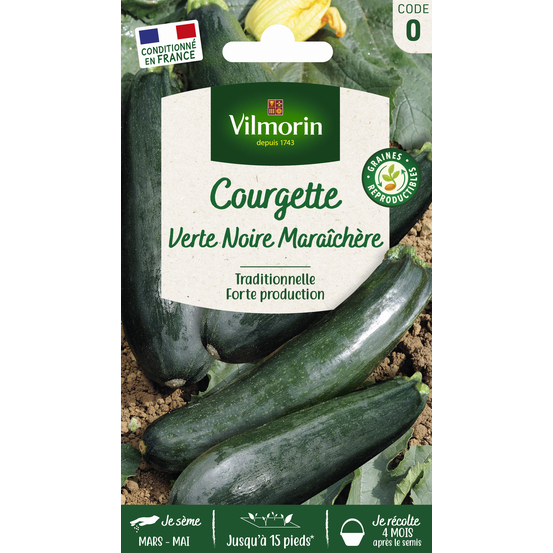Courgette verte noire Maraîchère