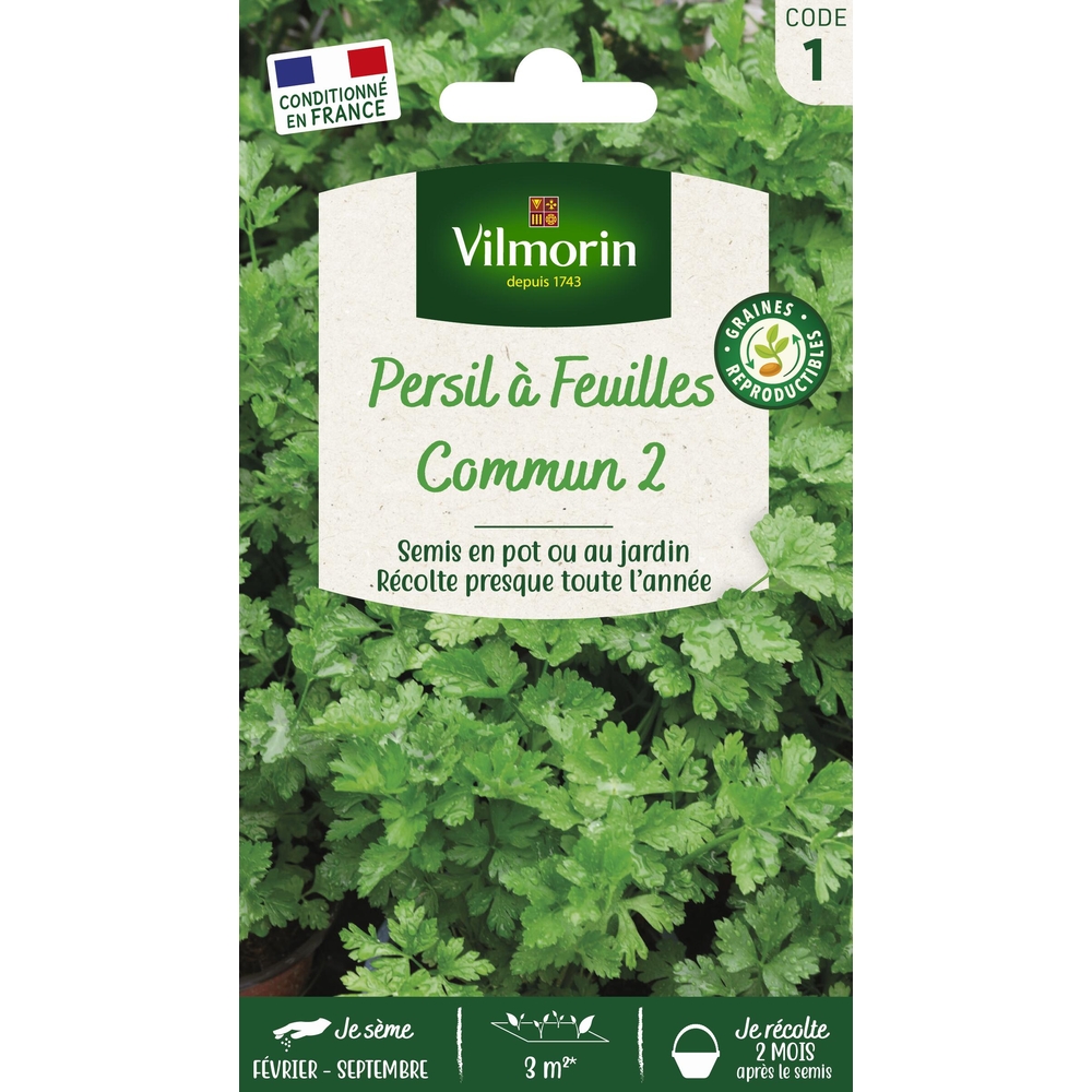 Graines de persil Commun 2 en sachet