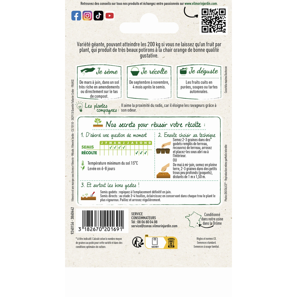 Graines de Poitron Atlantic Giant en sachet