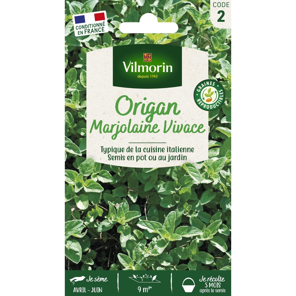 Graines de Marjolaine Vivace Origan en sachet en sachet