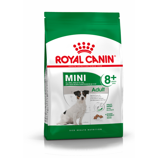 Croquettes chien senior SHN Mini Adult 8+ : 4kg