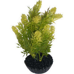 Plante artificielle aquarium : plastique arbre petit modèle Vert