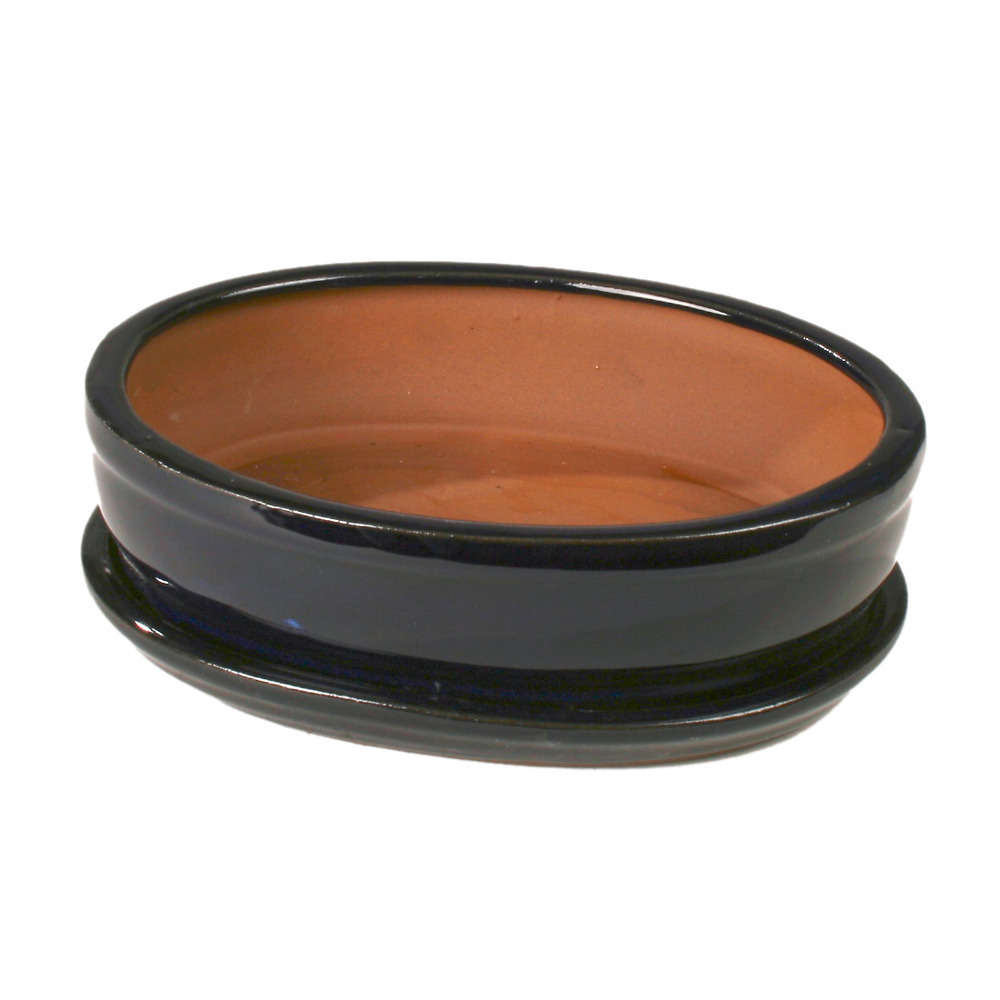 Poterie bonsaï + soucoupe, en terre cuite émaillée L. 21 x l. 16 cm