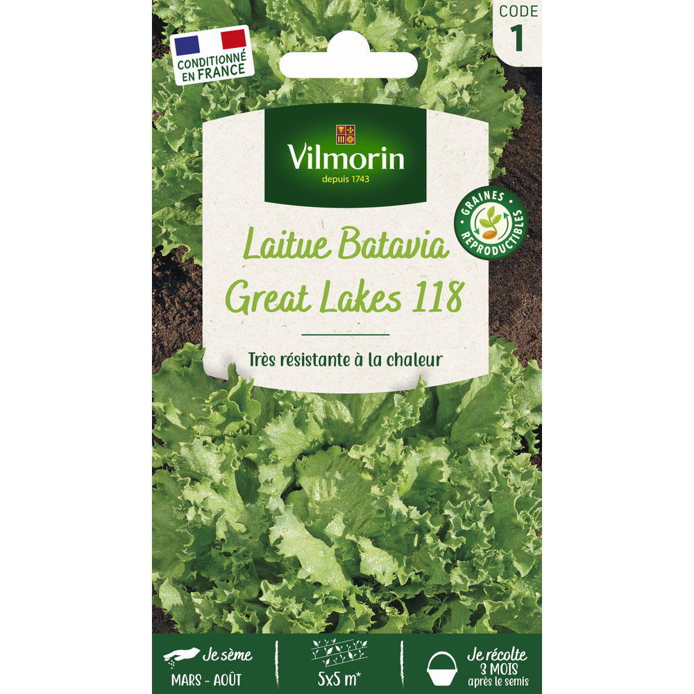 Graines de laitue Batavia Great Lakes 118 en sachet