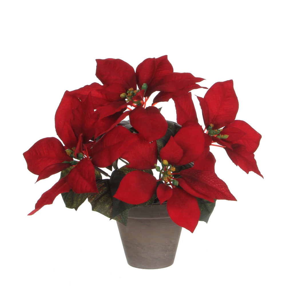 Poinsettia rouge artificiel H27cm, en pot D11,5cm
