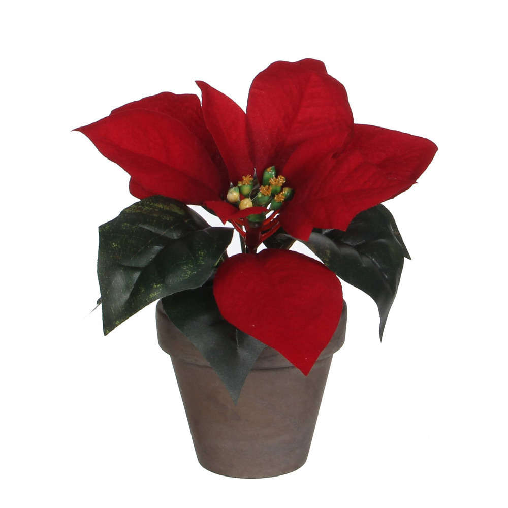 Poinsettia rouge artificiel H17cm, en pot D9cm
