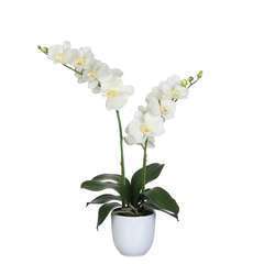 Plante artificielle : Pot phalaenopsis blanc D.38 x H.66 cm