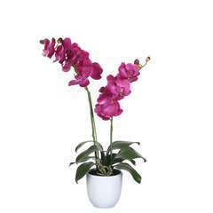 Plante artificielle : Pot phalaenopsis violet D.38 x H.66 cm