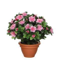 Plante artificielle : Pot Ter azalée rose D.30 x H.35 cm