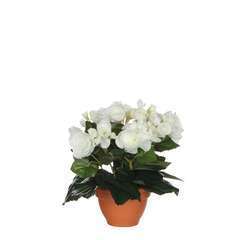 Plante artificielle : Pot Ter Begonia blanc D.20 H.25 cm