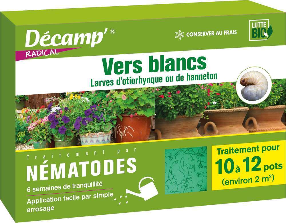 Nématodes contre les vers blancs