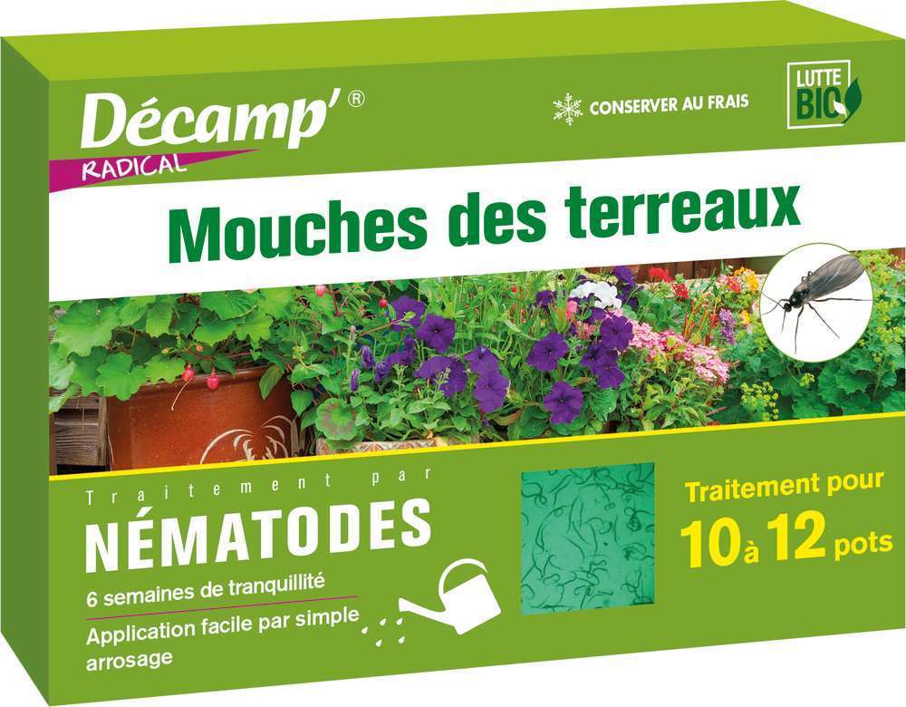 Nématodes contre les vers blancs ou mouches du terreaux