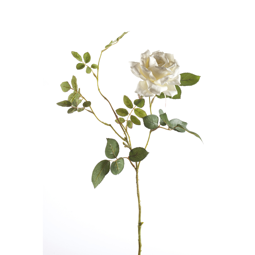 Tige artificielle, en polyéthylène: Dianna Rose, crème 75cm