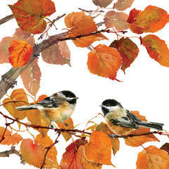 20 serviettes Oiseaux automne L. 33 x l. 33 cm