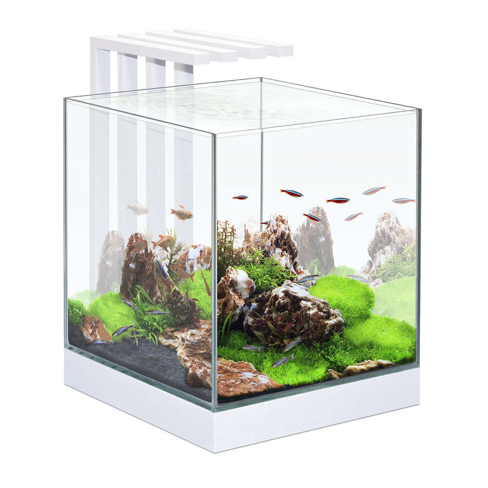 Aquarium Nano Nexus, blanc - 25 litres