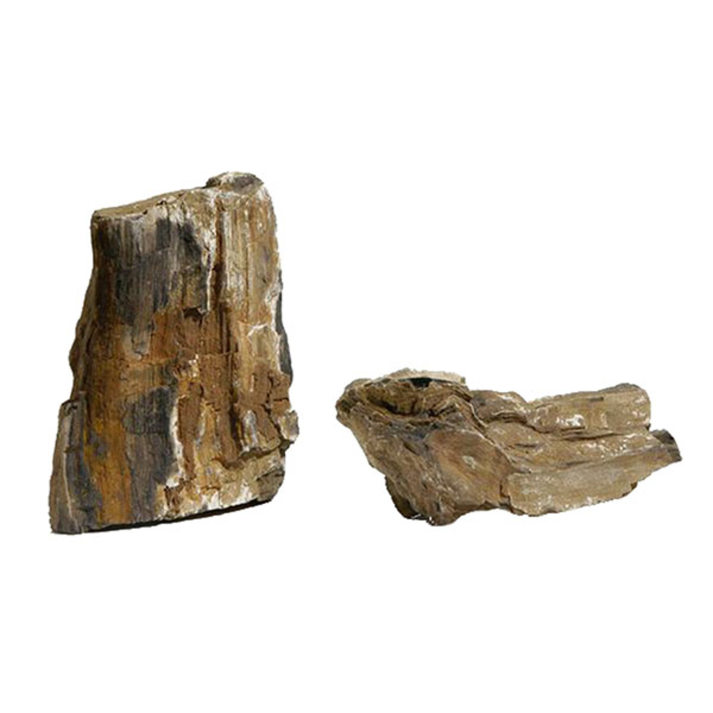 Bois fossilisé, pour aquarium: brun-cuivré