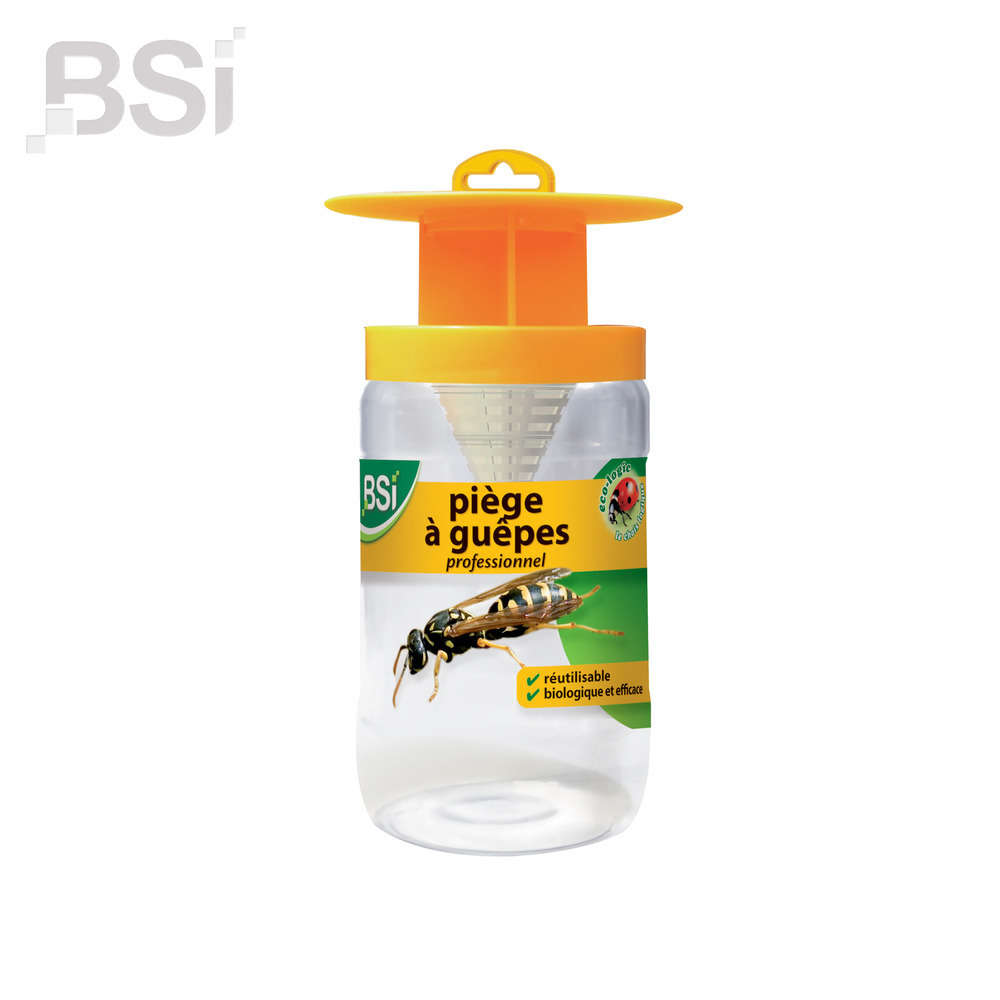 Piège à guêpes professionnel