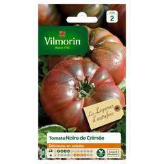GRAINES de Tomate Noire de Crimée + Conseils - Monde Végétal