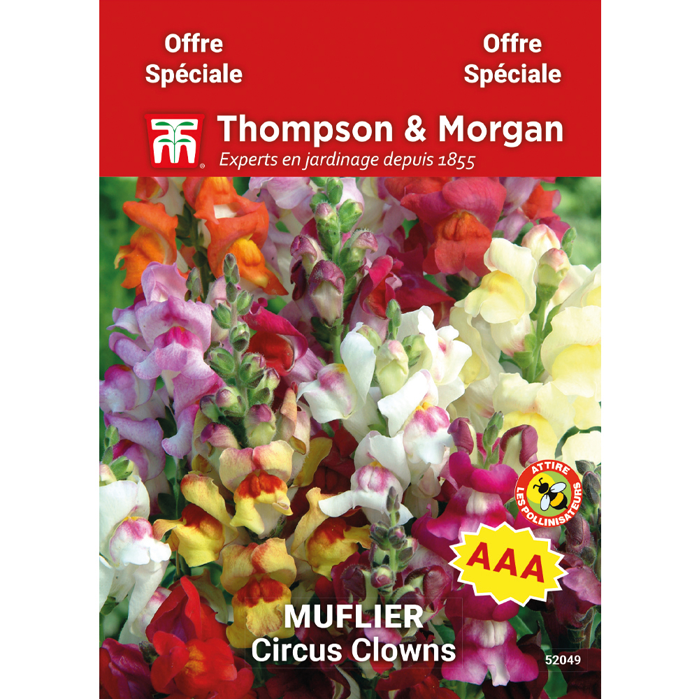 Muflier Circus Clowns