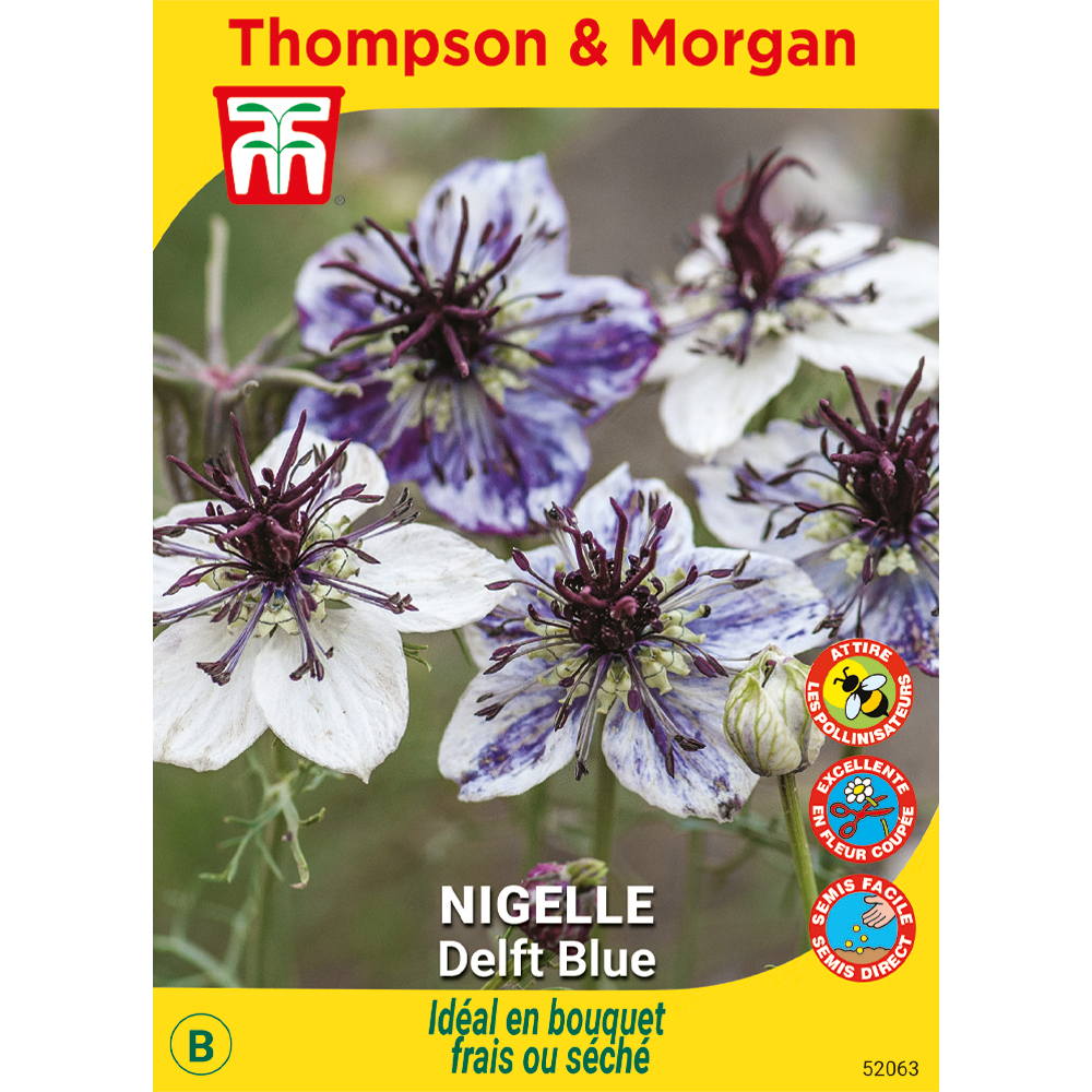 Nigelle Delft Bleue