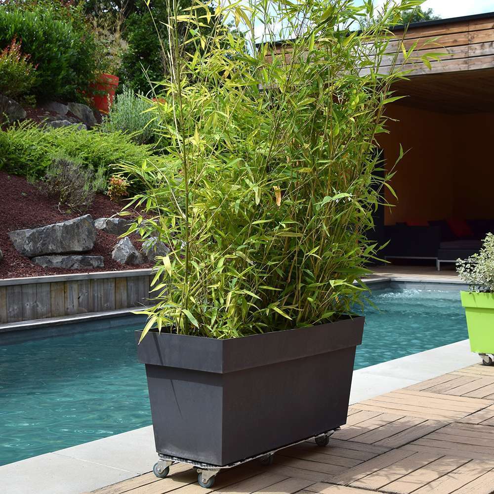 Caddie à Plantes En Métal, Support De Pot De Fleurs Robuste Avec Roues En Fer Et Trou De Drainage, Plateau De Pot De Fleurs Mobile, 40 Cm | Leroy Merlin