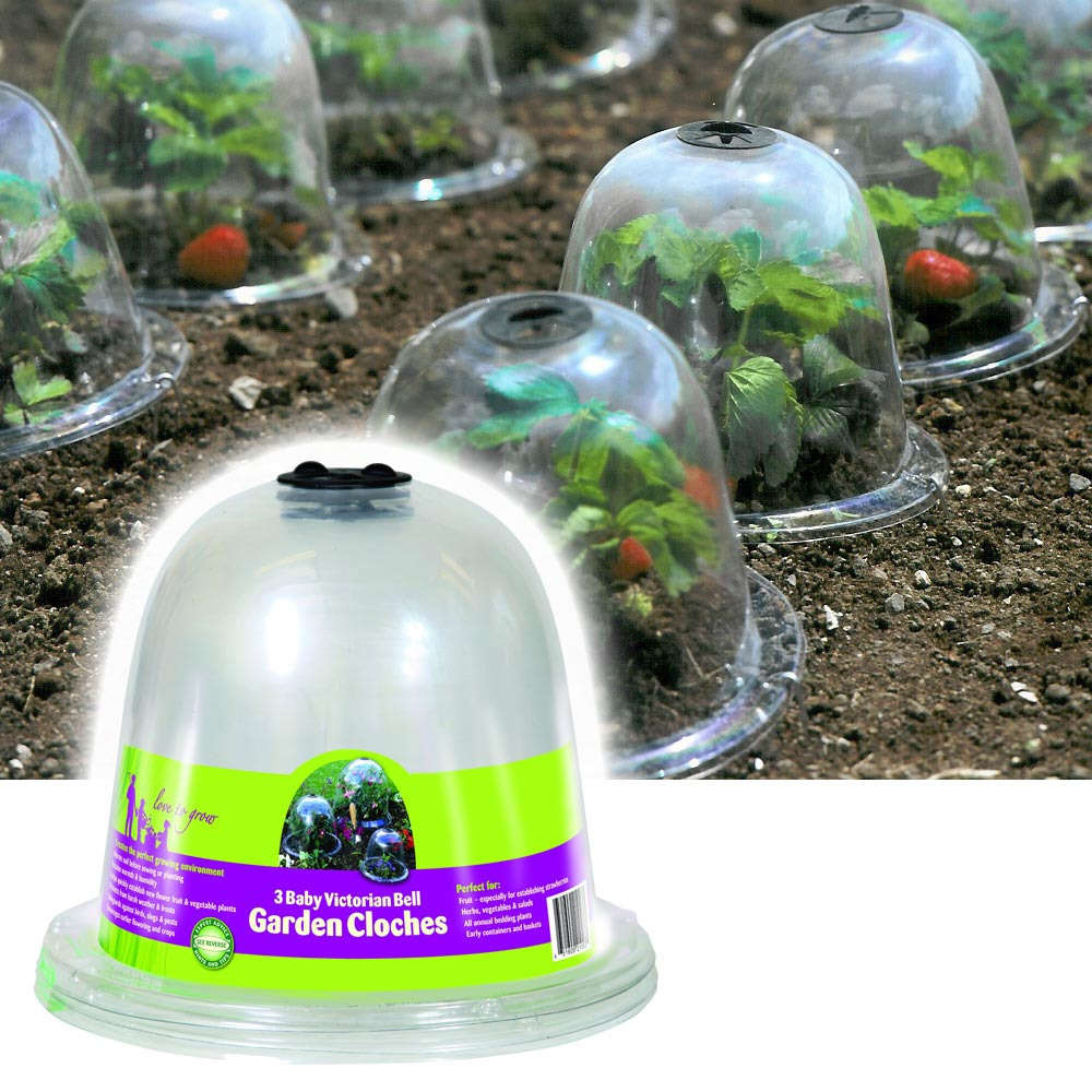 Lot de 3 cloches mini pour semis