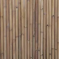 Panneau déroulable, en bambou naturel beige - l.200 x H.100 cm