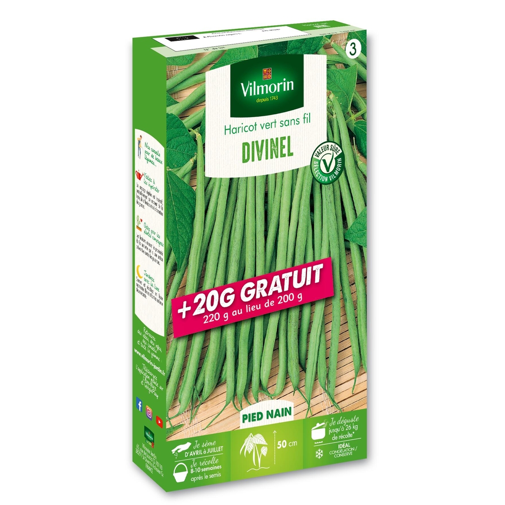 Haricot nain Divinel : boite de 220g
