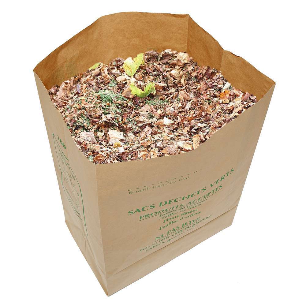 Sac a dechets verts en kraft 100L x10 Truffaut