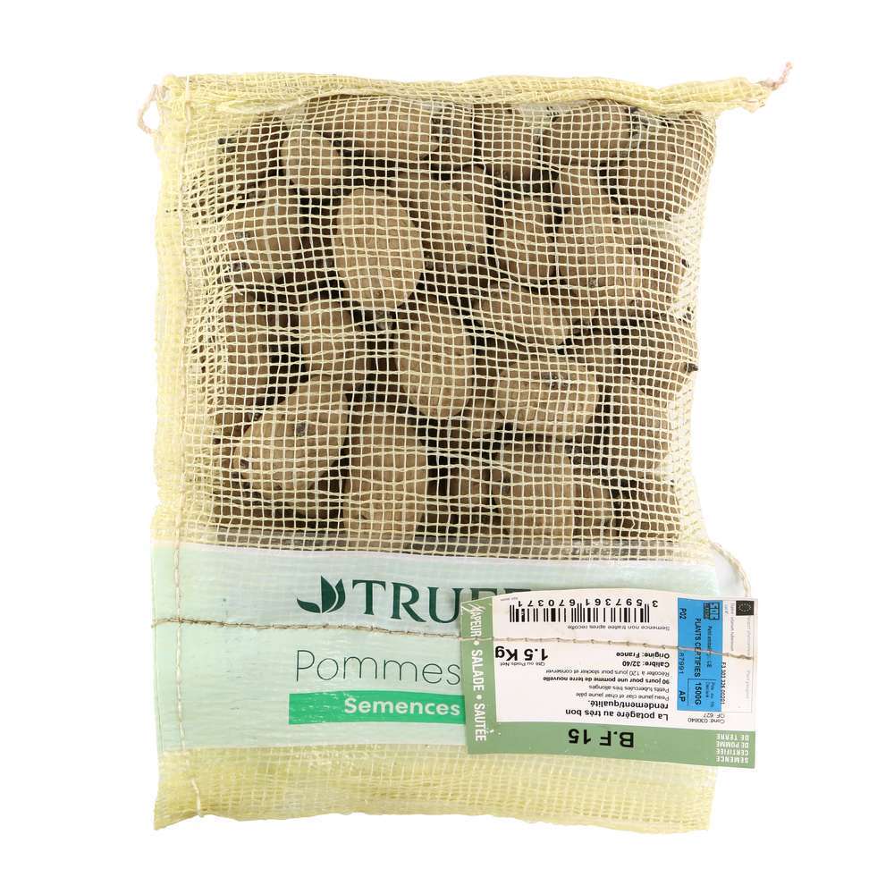 Plants de pommes de terre 'BF 15' en sac - 1,5 kg