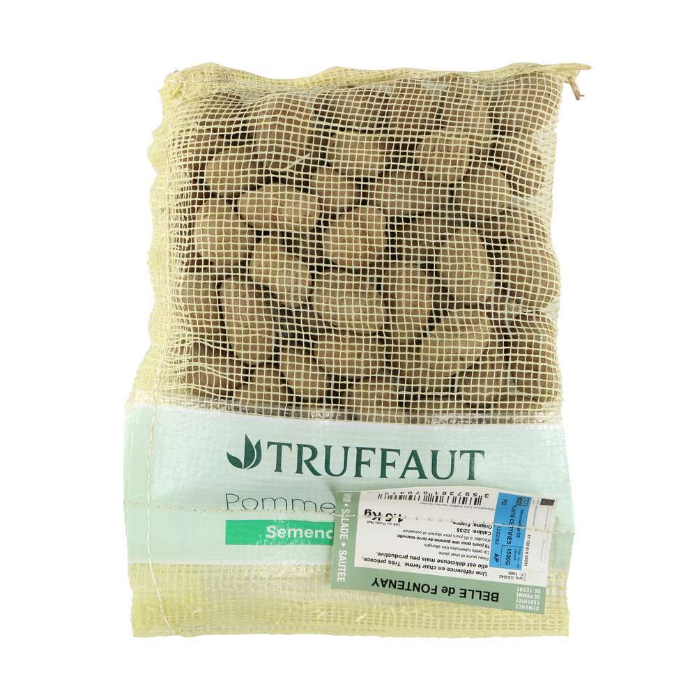 Plants de pommes de terre 'La Belle de Fontenay' en sac - 1,5 kg