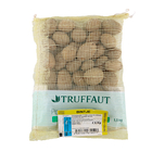 Plants de pommes de terre 'Bintje' en sac - 1,5 kg